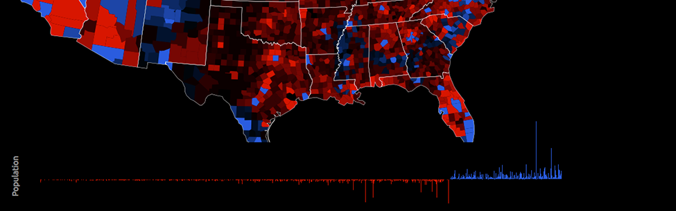Shedding Light on Election Demographics - 2012